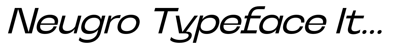 Neugro Typeface Italic
